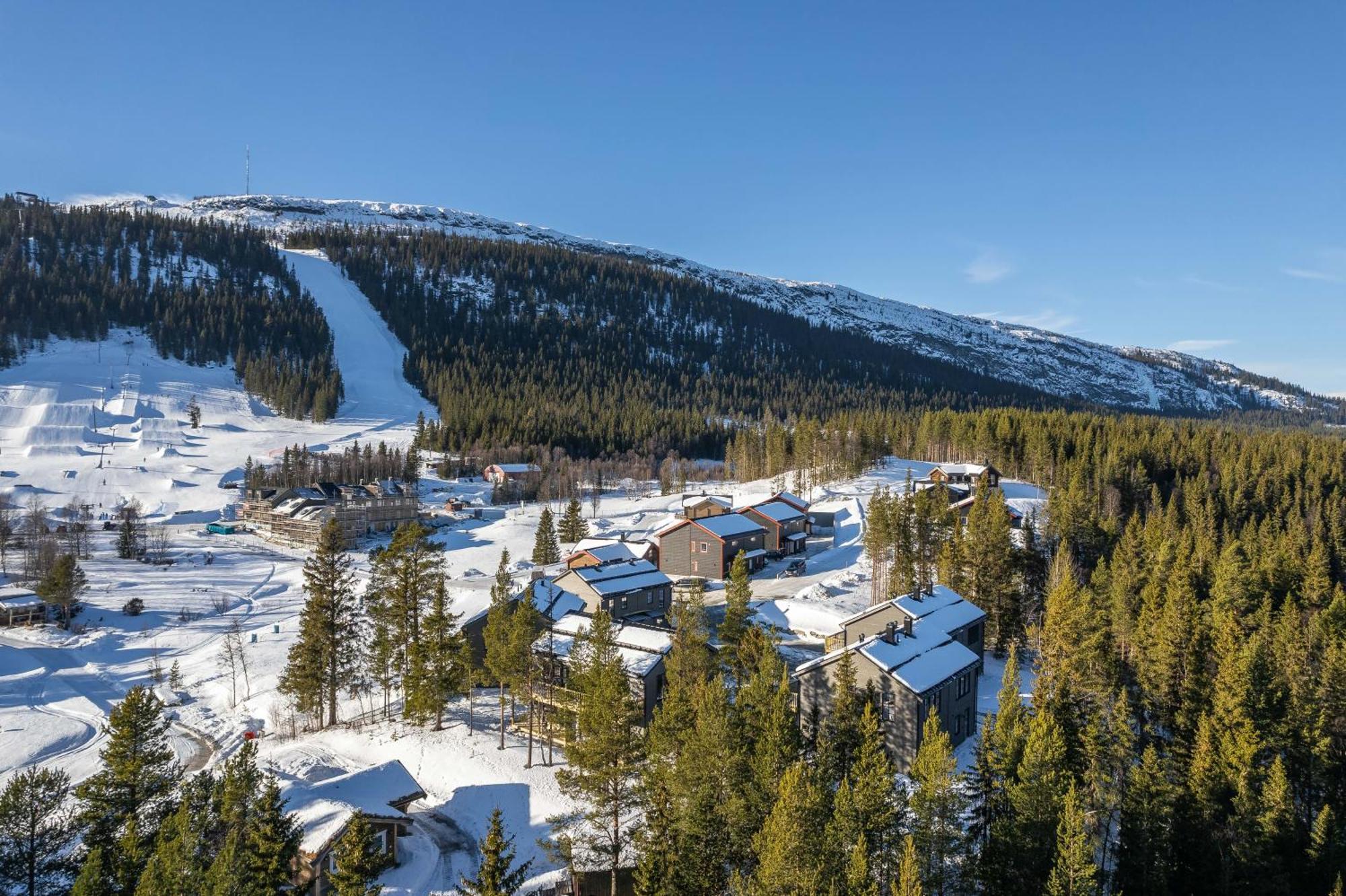 Parkstigens Fjaellby - Kavan Funasdalen Bagian luar foto